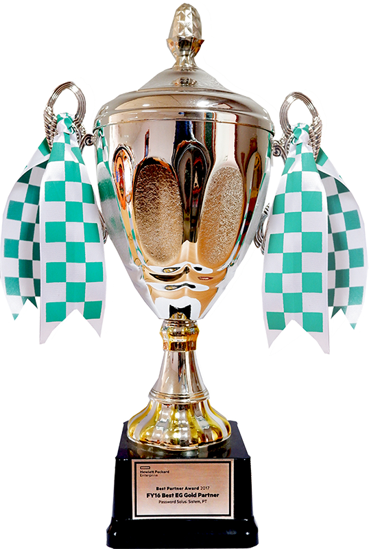 HPE Best Partner Awards 2017 - FY16 Best EG Gold Partner 